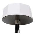 Ventev Multiband 5-in-1 VenDome Omni Antenna with SMA Male - RPSMA Male Connectors-VM-UWG221OD-SM